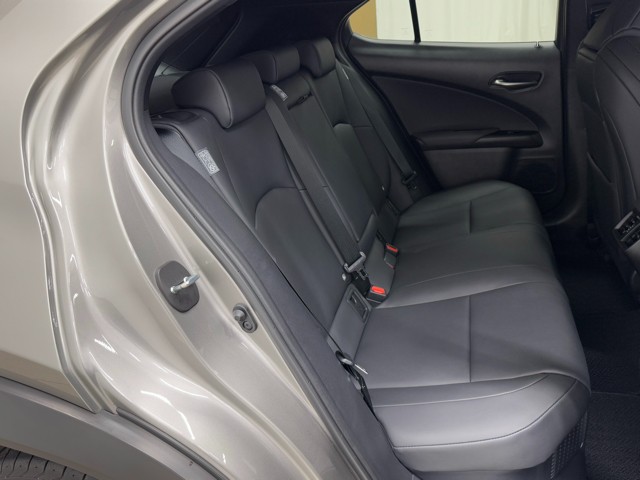 レクサス UX250h F SPORT