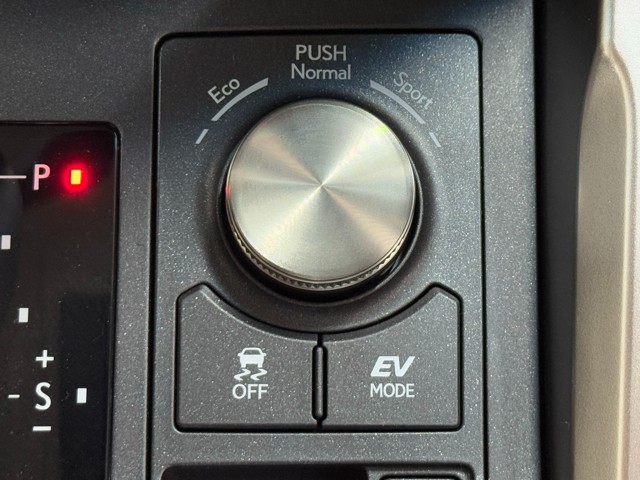レクサス NX300h VER-L
