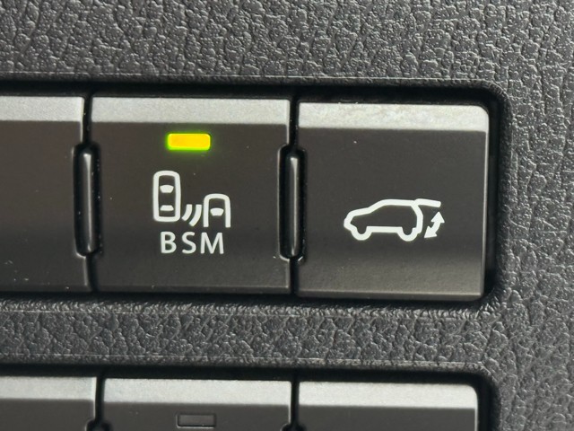 レクサス NX300h VER-L