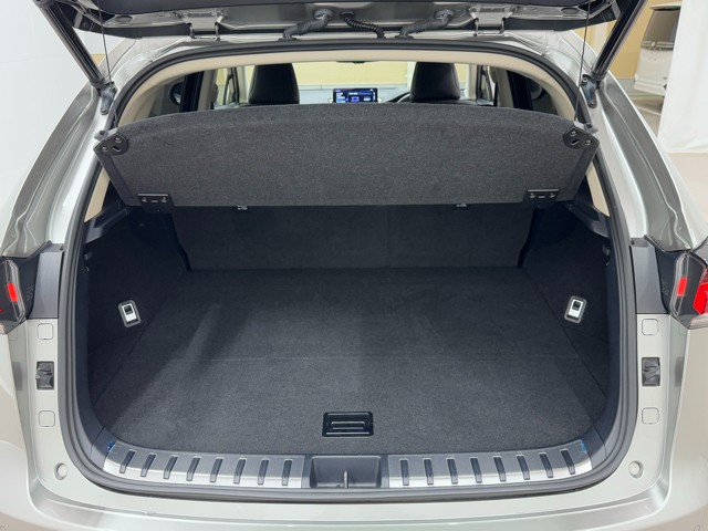 レクサス NX300h VER-L