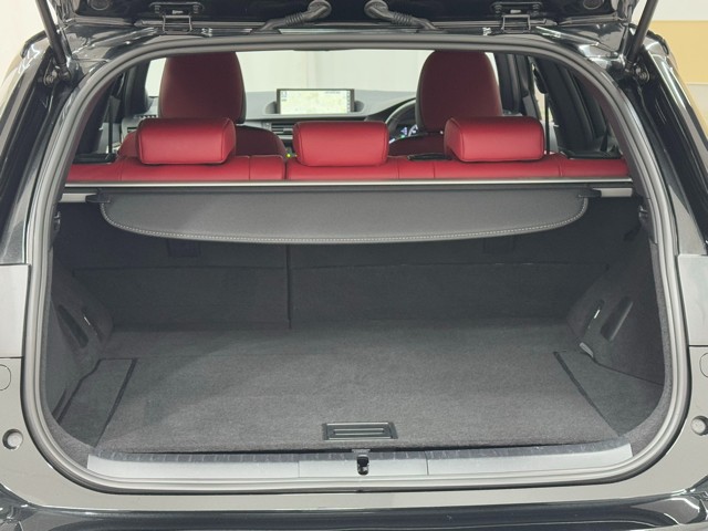 レクサス CT200h F SPORT