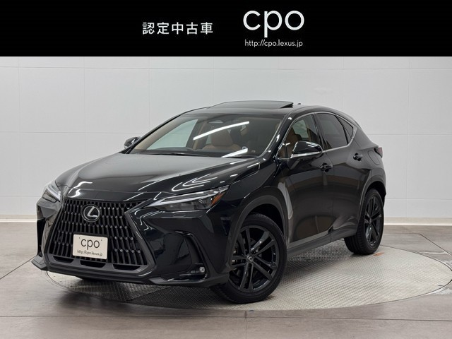 NX250 VER L
