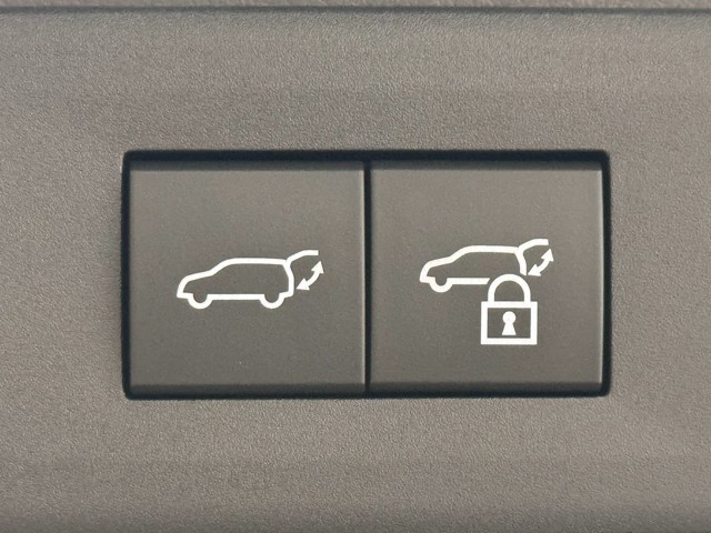 レクサス NX250 VER L