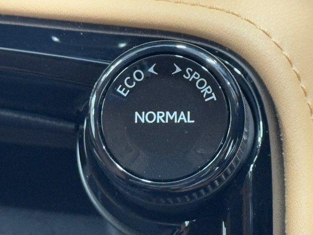 レクサス NX250 バージョンL