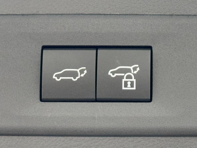 レクサス NX250 バージョンL