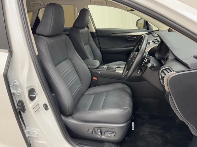 レクサス NX300h Iパッケージ