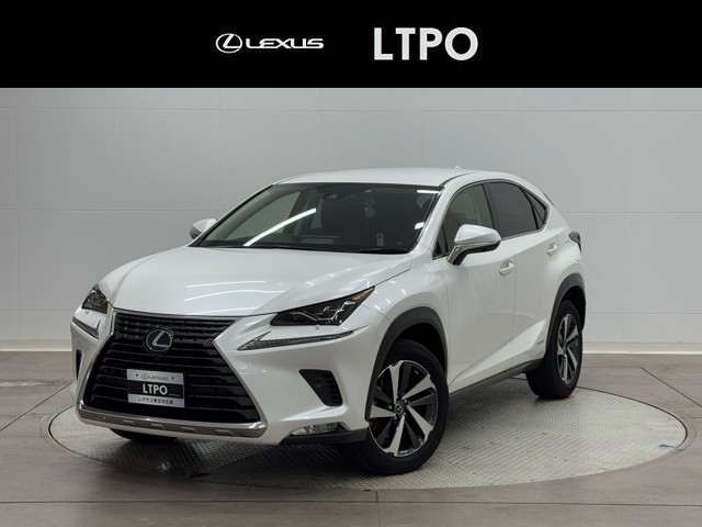 NX300h VER-L