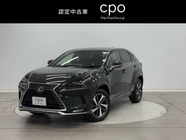 レクサス NX300h スパイス&シック