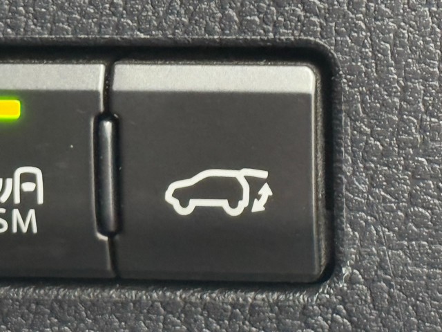 レクサス NX300h スパイス&シック