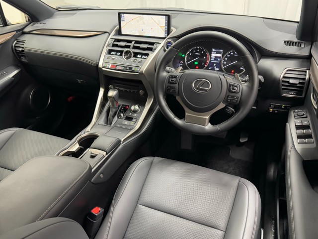 レクサス NX300h スパイス&シック