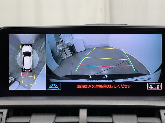 レクサス NX300h スパイス&シック