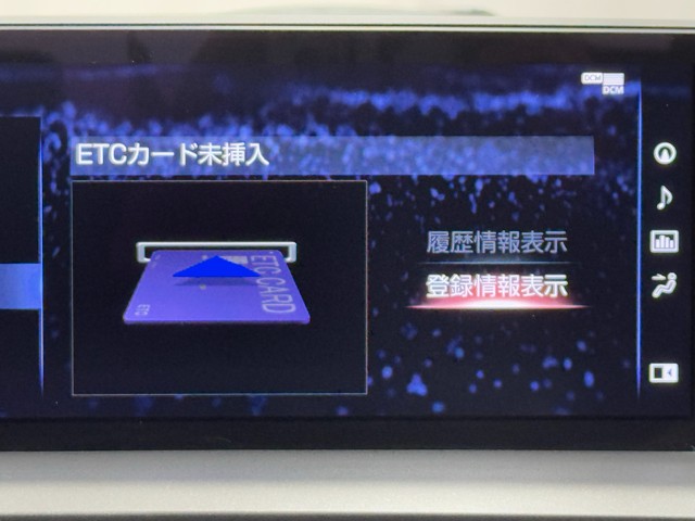 レクサス NX300h スパイス&シック