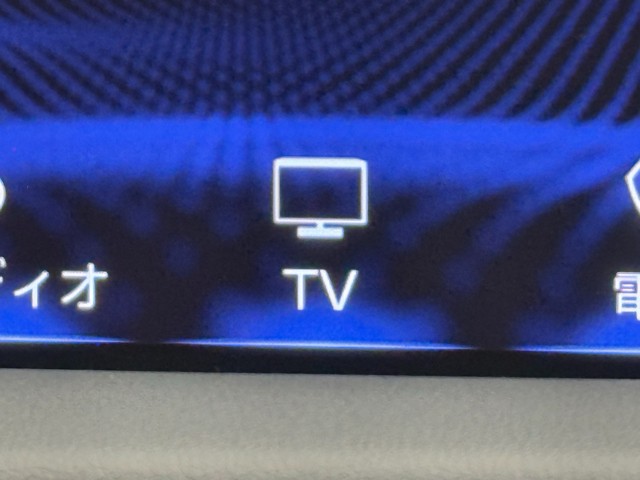 レクサス RX300 F SPORT