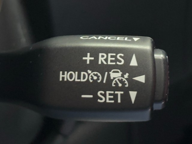 レクサス RX300 F SPORT