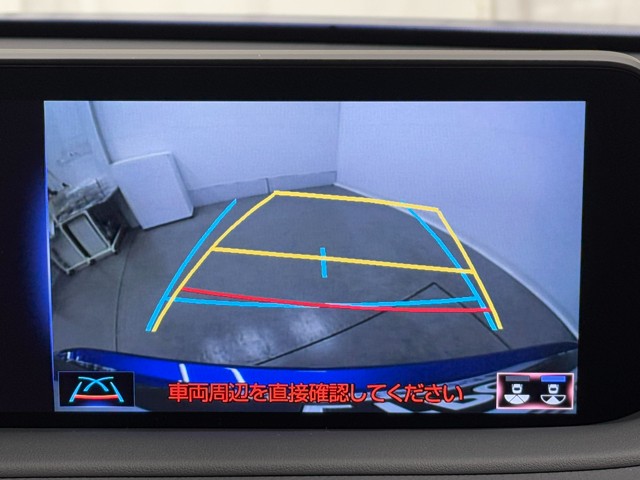 レクサス RX300 F SPORT