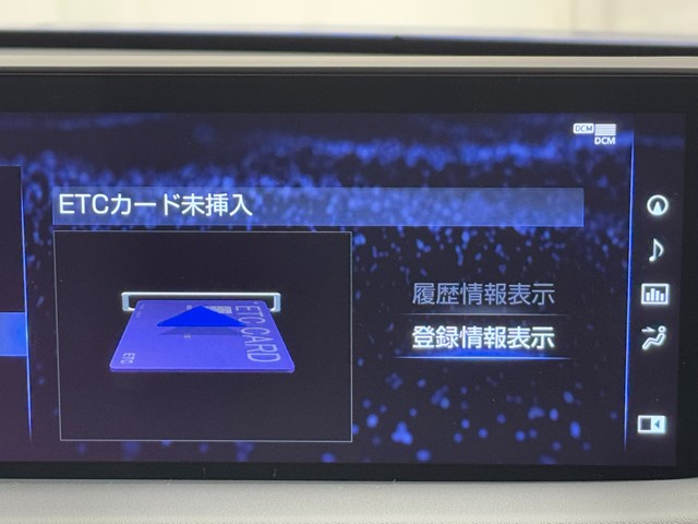 レクサス RX300 F SPORT