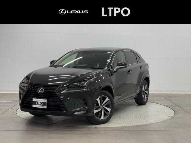 NX300h BlackSequence