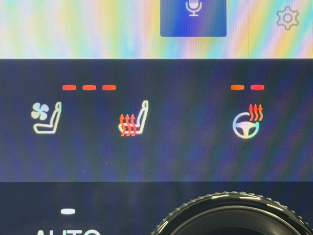 レクサス NX250 バージョンL