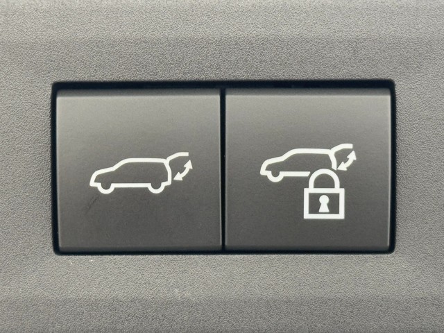 レクサス NX350h F SPORT