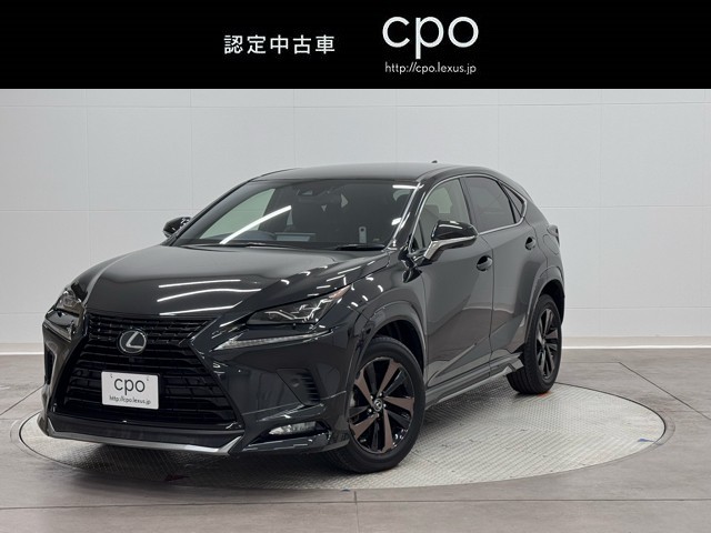 NX300 ブロンズエディション