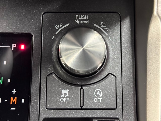 レクサス NX300 ブロンズエディション