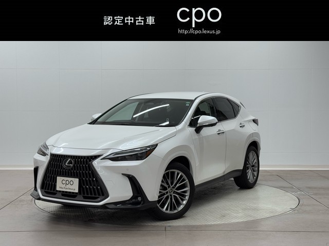 NX250 バージョンL