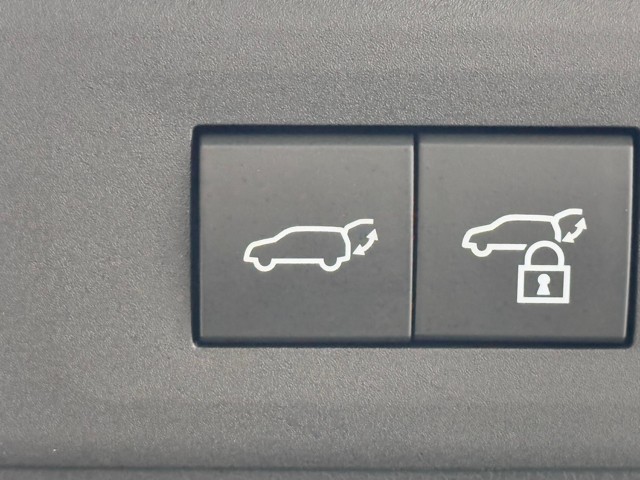 レクサス NX250 バージョンL