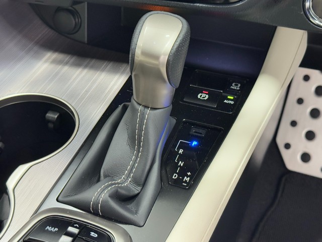 レクサス RX300 F SPORT