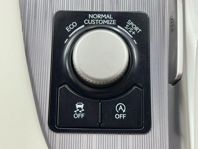 レクサス RX300 F SPORT