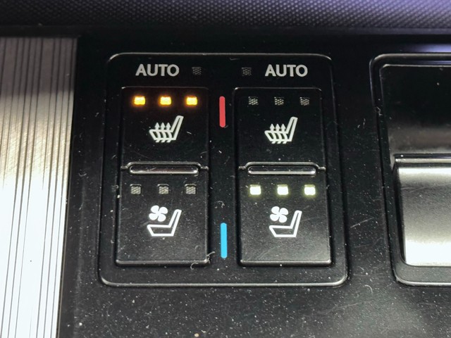 レクサス RX300 F SPORT