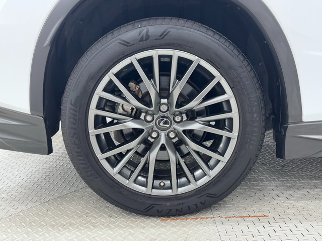 レクサス RX300 F SPORT