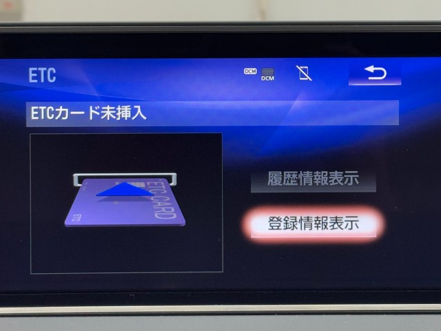 レクサス RX300 F SPORT