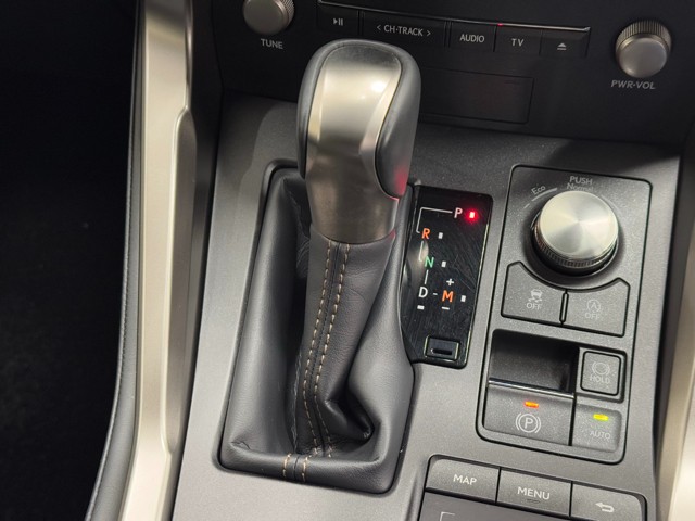 レクサス NX300 Spice&Chic