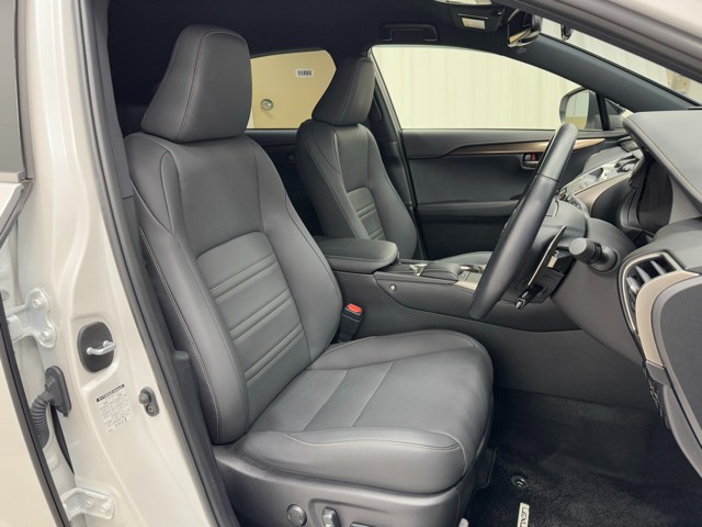 レクサス NX300 Spice&Chic