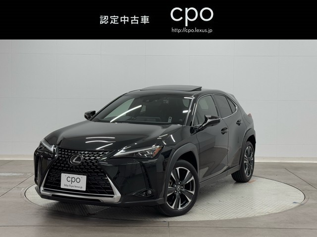 UX250h バージョンL