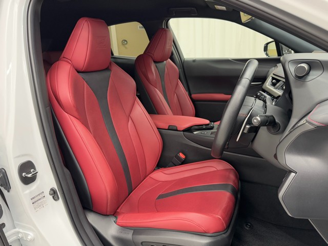 レクサス UX250h F SPORT