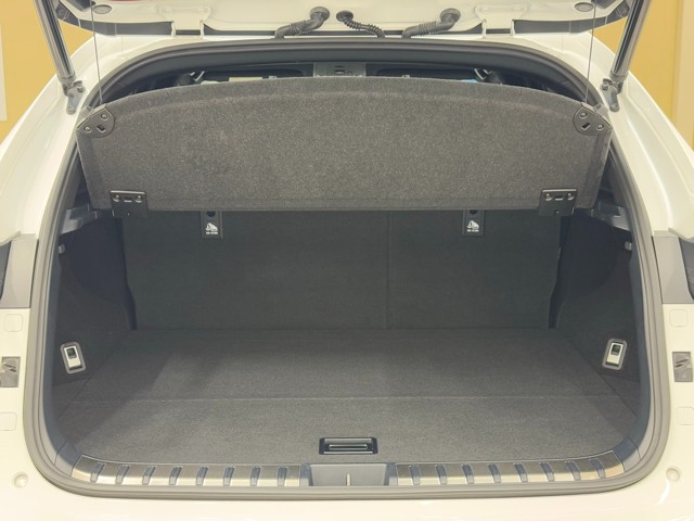 レクサス NX300 F SPORT