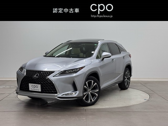 RX300 VER-L