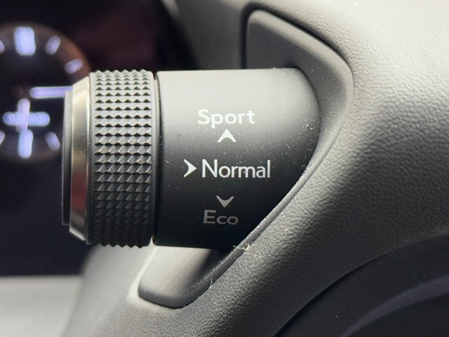 レクサス UX250h F SPORT