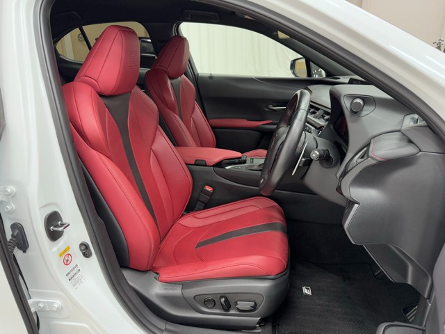 レクサス UX250h F SPORT