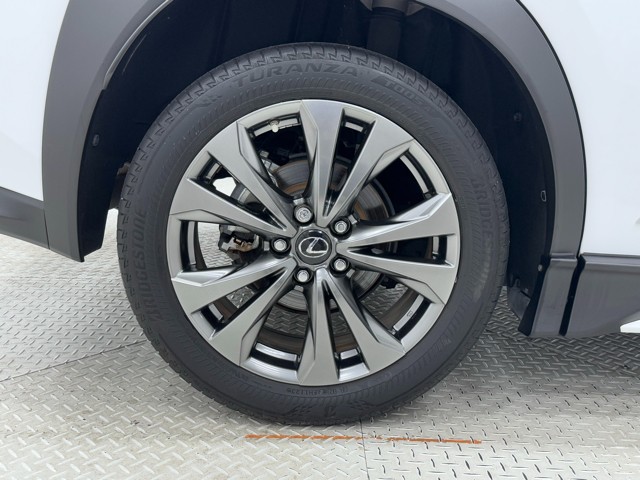 レクサス UX250h F SPORT