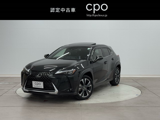 UX250h バージョンL