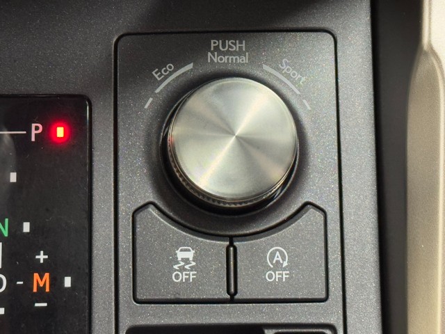 レクサス NX300 VERSIONL