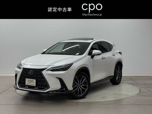 レクサス NX250 バージョンL