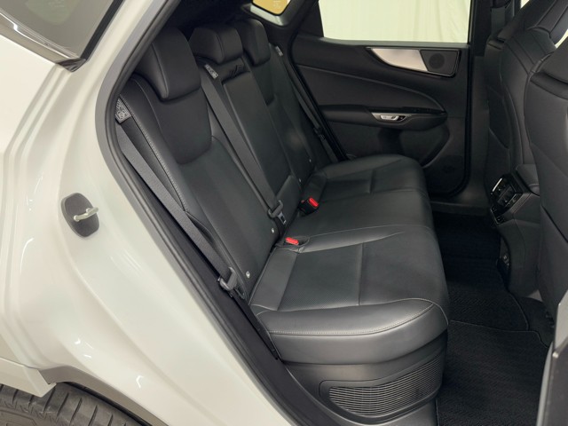 レクサス NX450h+ Fsport