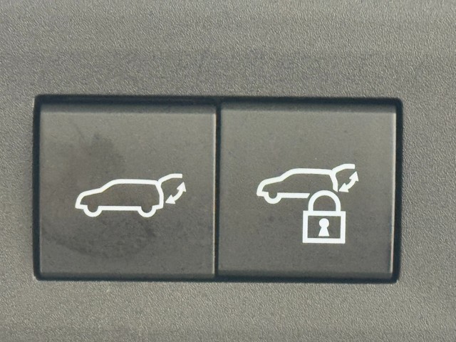 レクサス NX450h+ Fsport