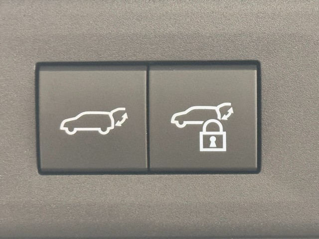 レクサス NX450h+ バージョンL