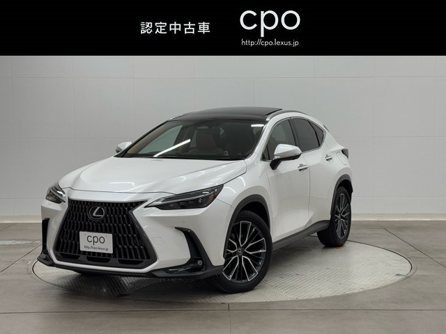 NX250 バージョンL
