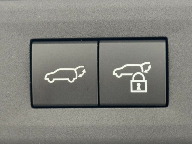 レクサス NX250 バージョンL