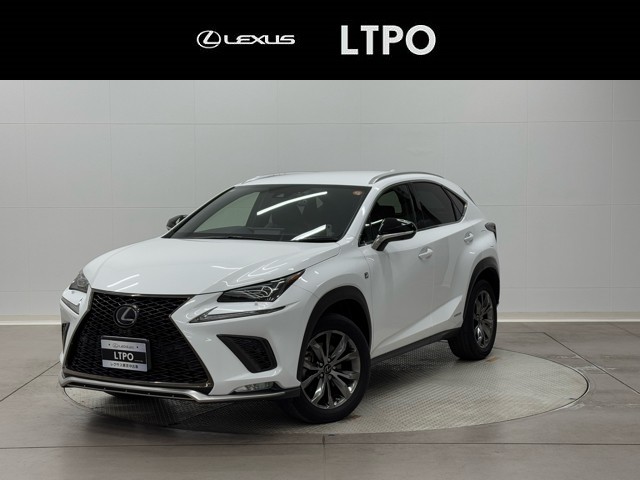 NX300h Fスポーツ